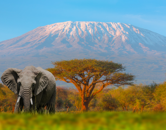 KENYA